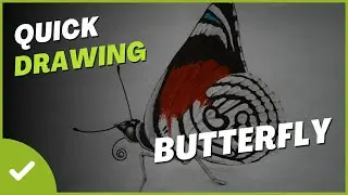 как рисовать бабочку \ How to draw butterfly