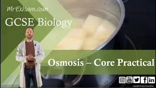 Osmosis and potato practical - GCSE Biology (9-1) 1.16 -1.17