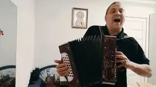 Супер кавер под гармонь! Я так соскучился.
