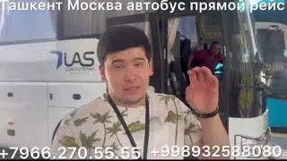 #ташкент #москва #автобус москва ташкент тавтобус #прямойрейс #2024