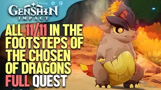 All 11/11 in the Footsteps of the chosen of Dragons Genshin Impact