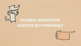 Страх без причины