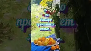 С добрым утром!🌺#доброеутро #девочкалето#стасмихайлов#shorts