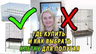 ГДЕ КУПИТЬ УДОБНУЮ КЛЕТКУ ДЛЯ ПОПУГАЯ ОНЛАЙН | ЛУЧШИЕ КЛЕТКИ ДЛЯ ПОПУГАЕВ