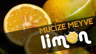 Mucize Meyve Limon