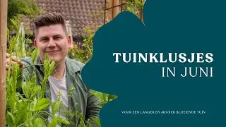 Tuinklusjes in juni I lathyrus, zonnebloemen & nepeta I Angelo Dorny