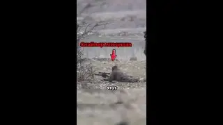 Опытный снайпер делает точный выстрел!