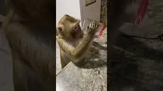 И пусть весь мир подождет