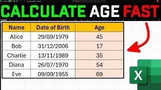 How to calculate Age From Date Of Birth in Excel FAST!