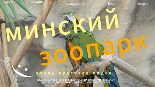 чудеса природы в минском зоопарке