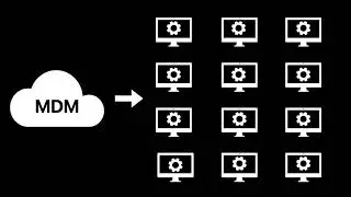 What is Mobile Device Management? 