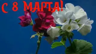 САМОЕ КРАСИВОЕ ПОЗДРАВЛЕНИЕ С 8 МАРТА