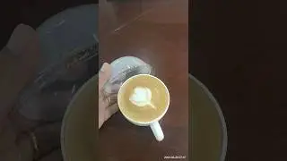 HAVE A NICE DAY