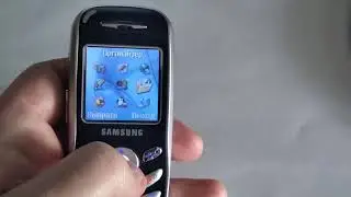 Модифицированная  прошивка Samsung x100.