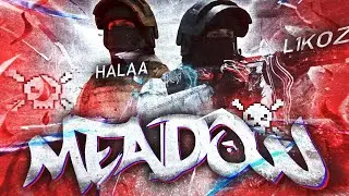 Meadow❤️/ft.HALAA