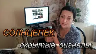 Review by Solntsepёk 2021. White Dog PMC.