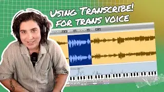 Trans Voice Tool: Transcribe!
