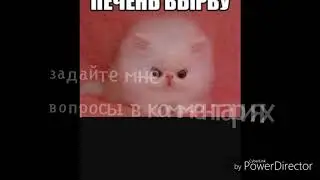 Вопрос-ответ... Уже скоро...