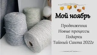 Мой ноябрь. Продвижения. Новые процессы и пряжа. Подарок от подписчицы. #тайныйсанта #вязание #носки