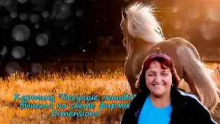Вышивка крестиком. Бегущие лошади. Работа Лидии Стадник (Софич)