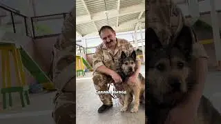 СОБАКА КОПИРУЕТ ХОЗЯИНА! Почему собаки похожи на хозяев? ЗЛОЙ ПЕС = ЗЛОЙ ХОЗЯИН  
