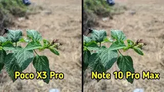 Poco X3 Pro vs Redmi Note 10 Pro Max camera comparison | Poco X3 Pro camera test | Tech 4 camera