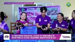Free-Range Chickens: A Sustainable Livelihood Alternative for ASF-Affected Calapeños