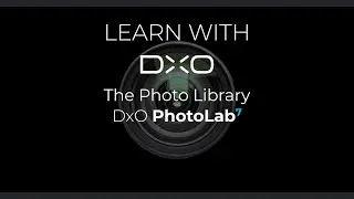 Manage your files with ease with DxO PhotoLab 7