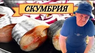 СКУМБРИЯ СУХОГО ПОСОЛА,ПЛОТВА,САЛО...ТВОЙ МУЖ БУДЕТ В ШОКЕ