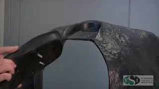 VSI Bovine Theriogenology Model: Tail Removal