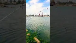 8 июня 2021 г.
