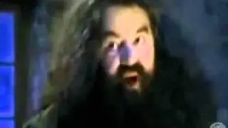 Hagrid's Honesty in: You're a hairy wizard!