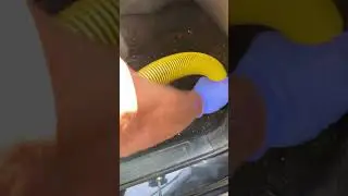 Satisfying Shine: The Ultimate Car Detailing Therapy