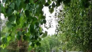 Е  Вадимов  Русская культура  