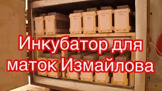 Инкубатор для маток Измайлова ,практичная воскотопка 