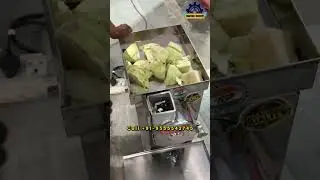 Automatic Cabbage Cutting Machine | Vegetable Slicer/Chopping Machine | New Model 