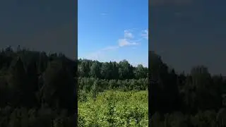 #красота