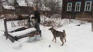 Мамин День рождения