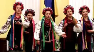 Чорнобривці 