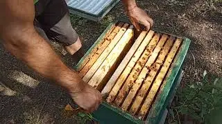 Карника ," барабанные палочки", "патронов хватило".... но старость...