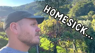 I just moved to paradise, and I'm HOMESICK?!