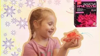Вырастить кристалл? Легко! Красивые, но очень хрупкие Лучистые кристаллы.