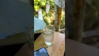 ПЕРВОРОДНАЯ РОСА#water#discoveries#sensation