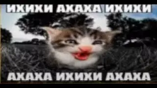 Произошел троллинг до мьюинга и после