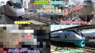 【1年分の運を絶対使い果たしました】JR東日本・関東鉄道2社合同 いばらき県西ぐるっとスタンプラリー旅