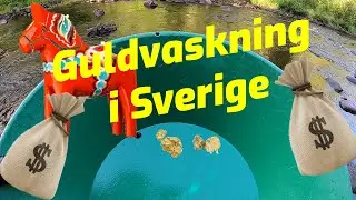 Guldvaskning i Sverige 2020 del 1