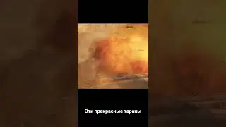 Камикадзе в 