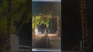 How I got the shot. Kinda. Watch my behind the scenes to see.
