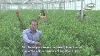Together2Grow (english subtitles)