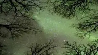 Silent Cry - Beautiful Music